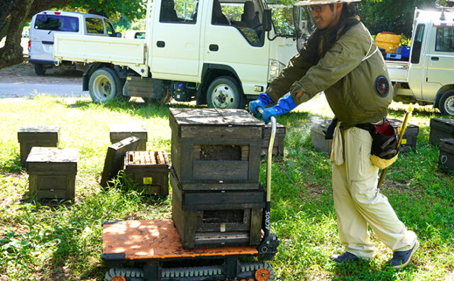養蜂場でのACROS（アクロス）活用