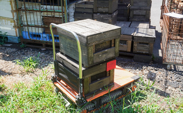 養蜂場でのACROS（アクロス）活用