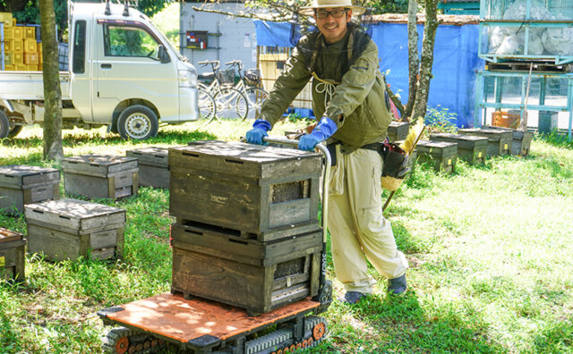 養蜂場でのACROS（アクロス）活用