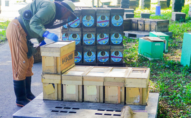 養蜂場でのACROS（アクロス）活用