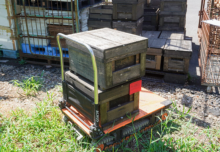 養蜂場でのACROS（アクロス）活用